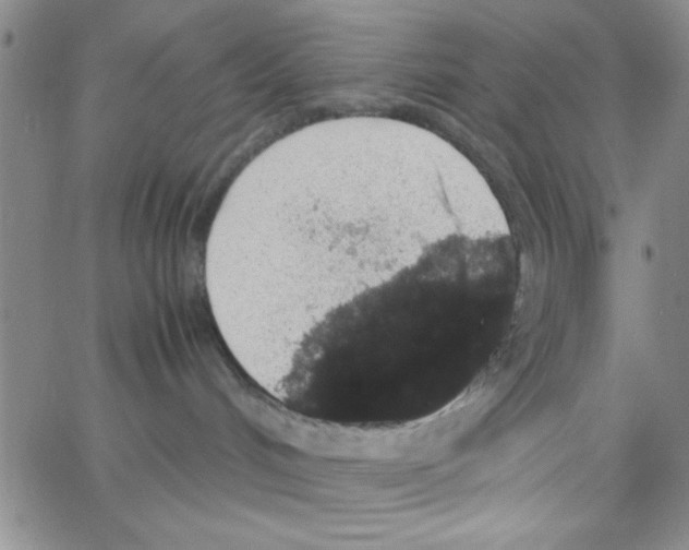 X0000062930048200602101933