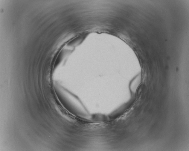 X0000062930050200602101932