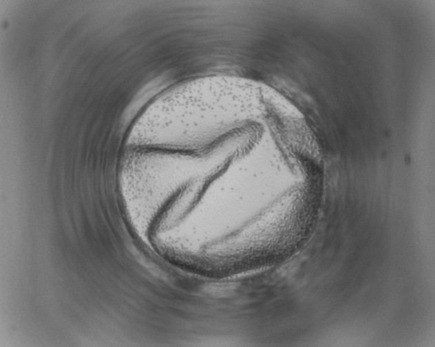 X0000062930051200602101932