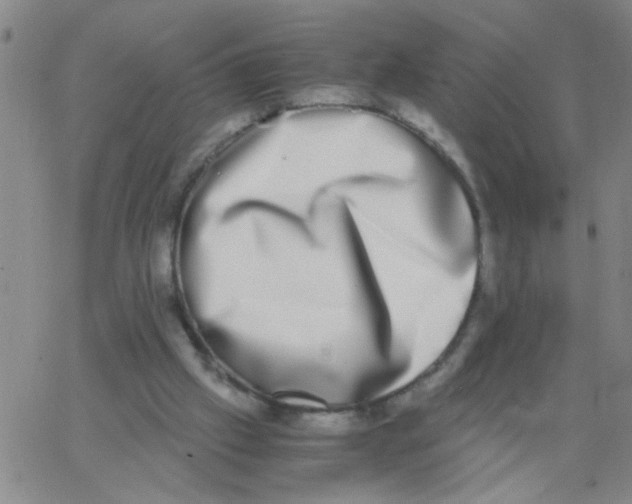 X0000062930057200602101932