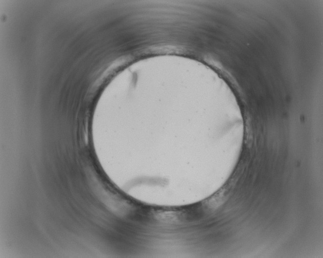 X0000062930062200602101932