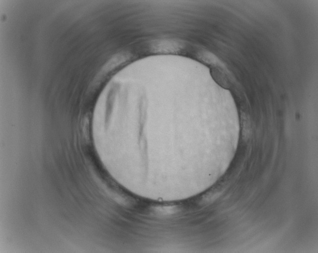 X0000062930071200602101932