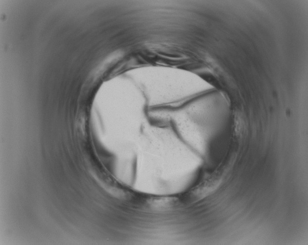 X0000062930072200602101932