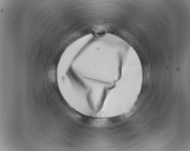 X0000062930090200602101933