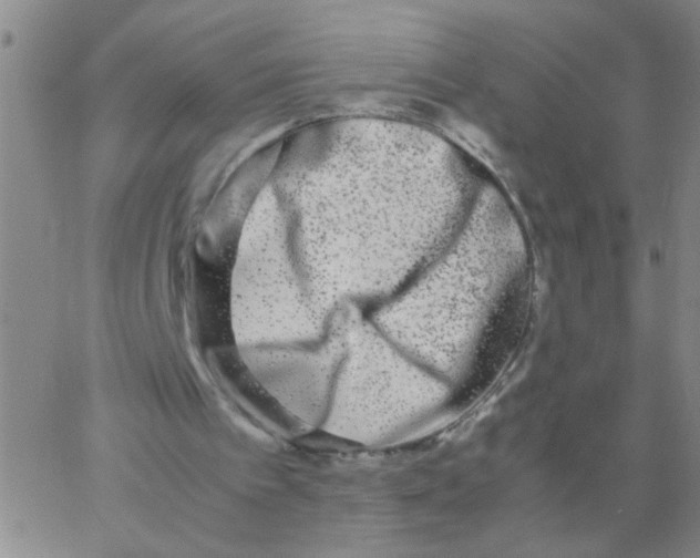 X0000062930097200602101932