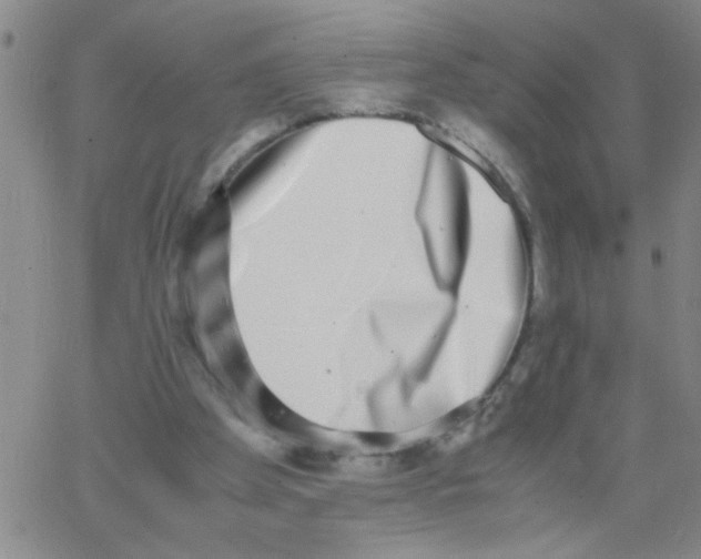 X0000062930105200602101932