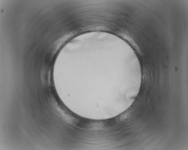 X0000062930110200602101932