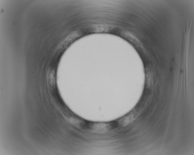 X0000062930123200602101931