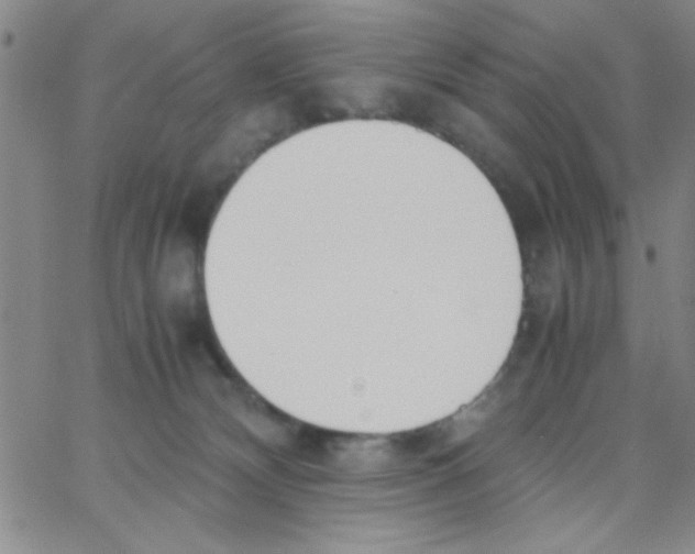 X0000062930132200602101931