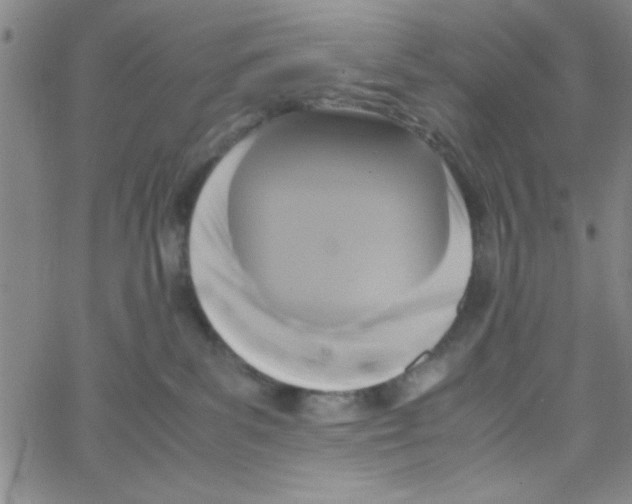 X0000062930139200602101931