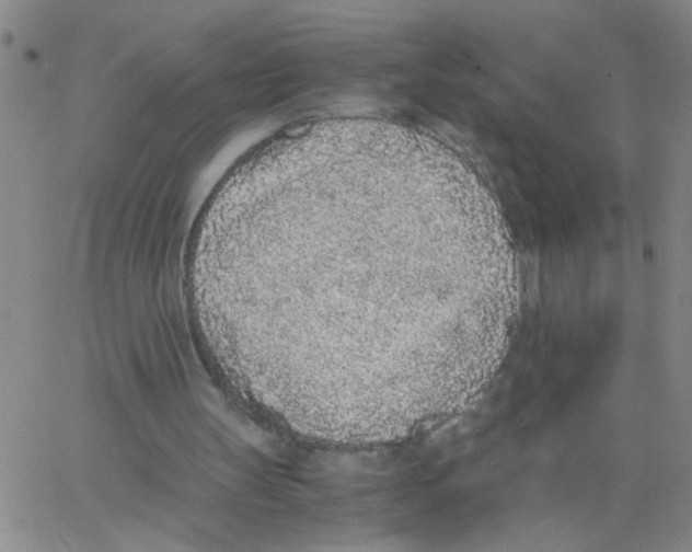 X0000062930147200602101930
