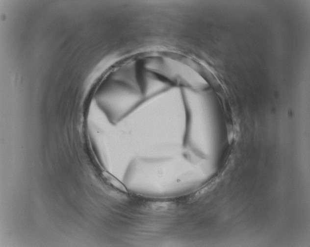 X0000062930152200602101930