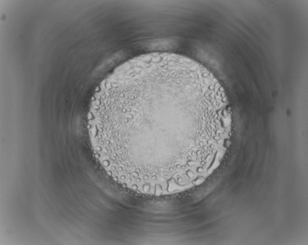 X0000062930161200602101931