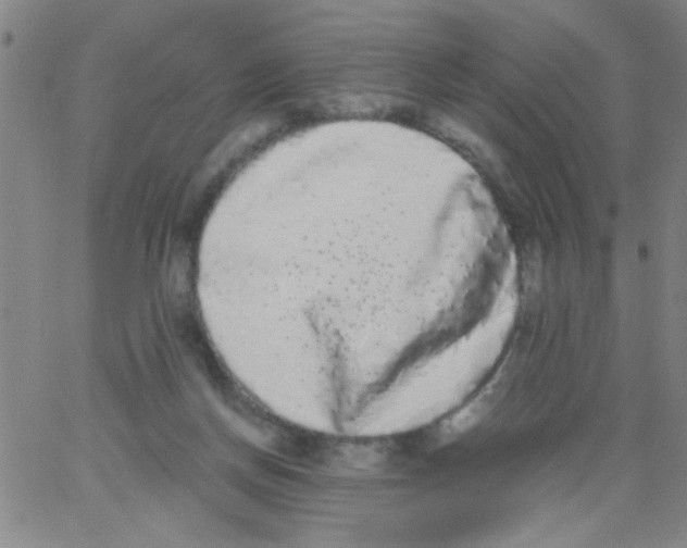 X0000062930166200602101931