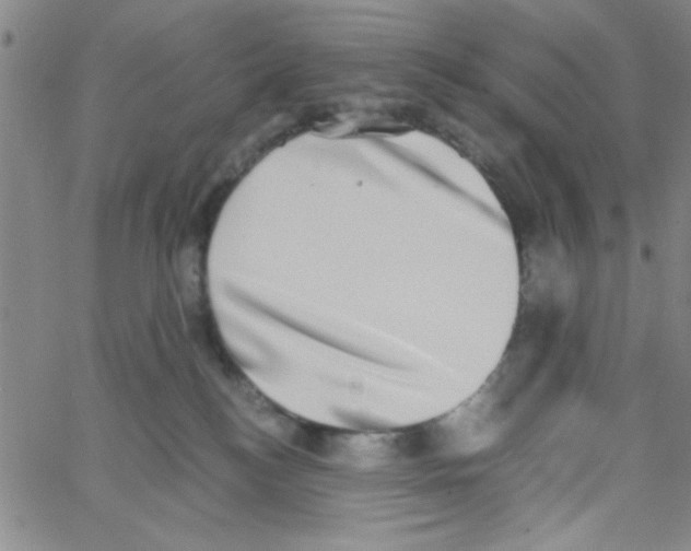 X0000062930184200602101931