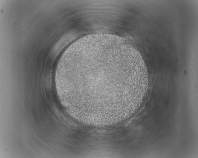 X0000062930194200602101930