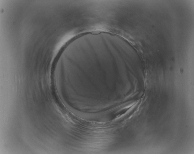X0000062930200200602101930