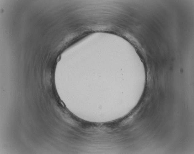 X0000062930201200602101930