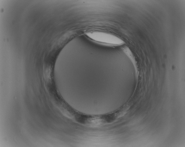 X0000062930219200602101930