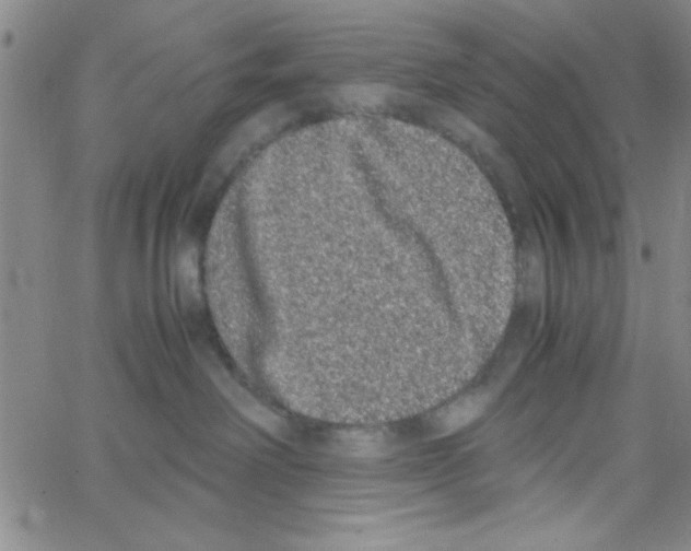 X0000062930238200602101930