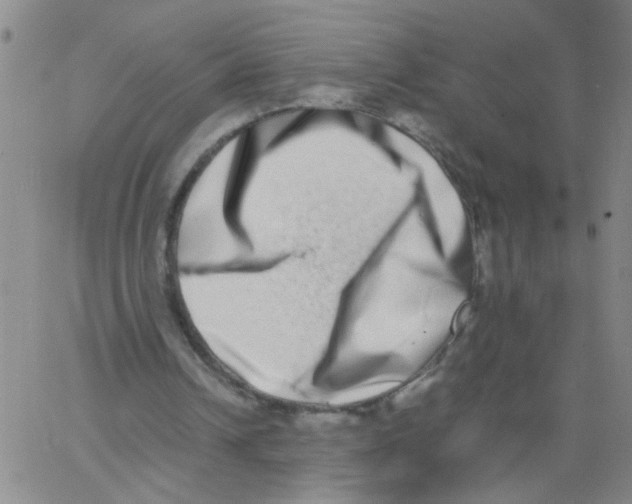 X0000062930242200602101929