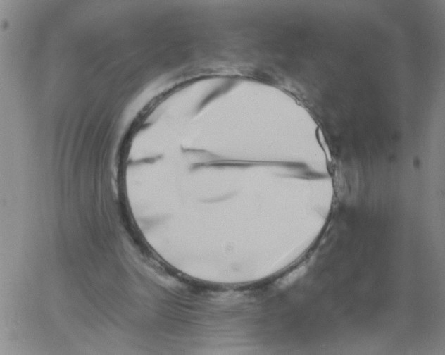 X0000062930246200602101929