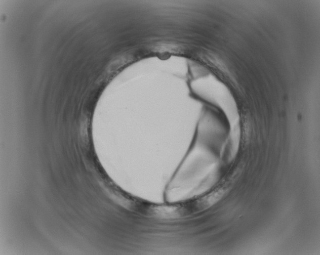X0000062930265200602101929