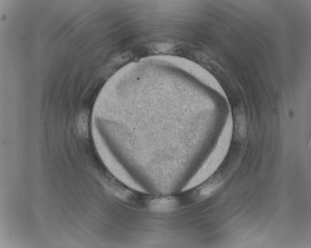 X0000062930274200602101929