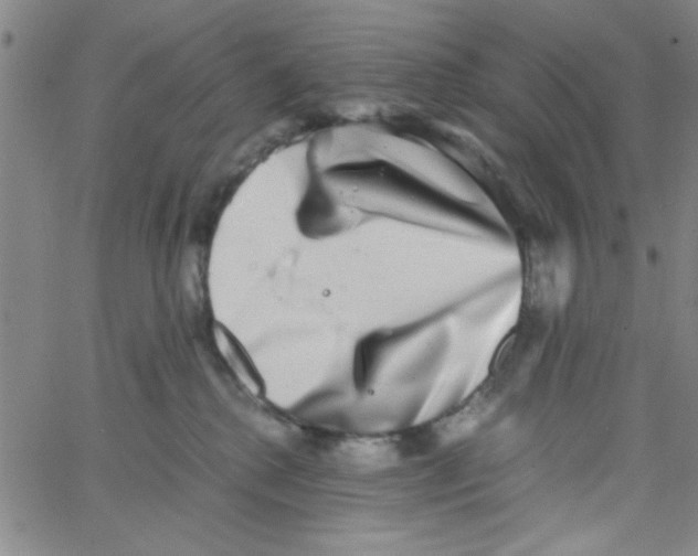 X0000062930280200602101929