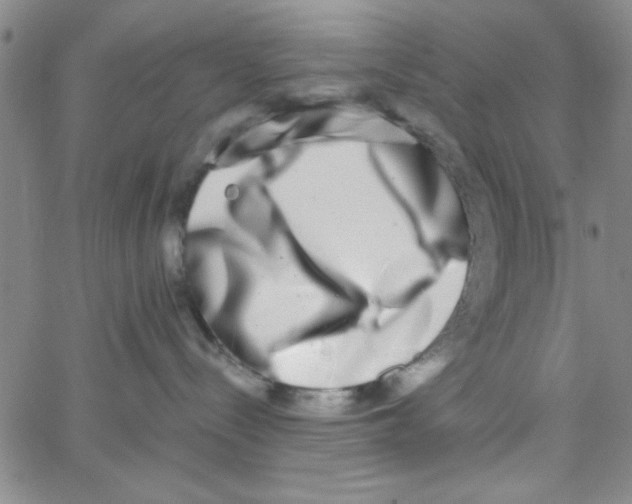 X0000062930288200602101930
