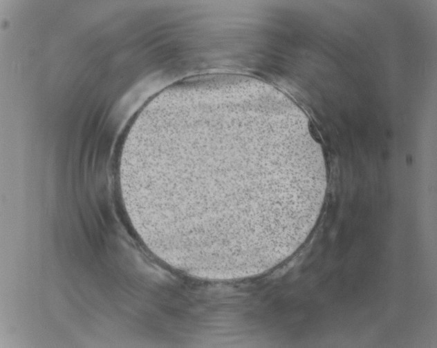 X0000062930290200602101929