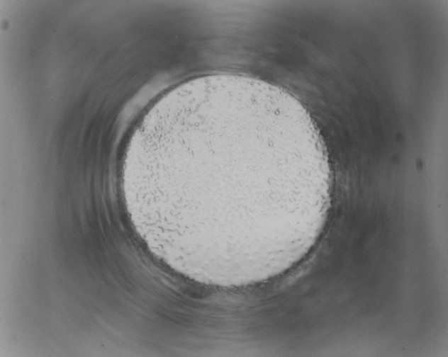 X0000062930294200602101929