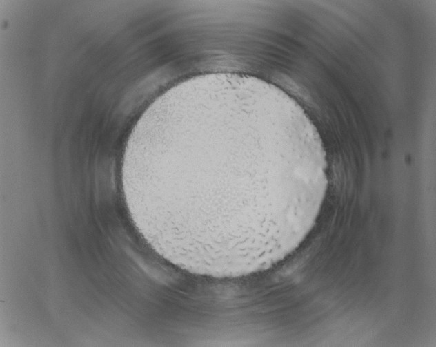 X0000062930302200602101929