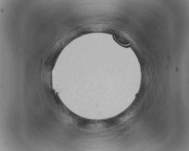 X0000062930307200602101928