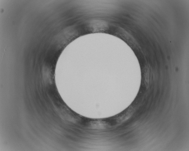 X0000062930316200602101928