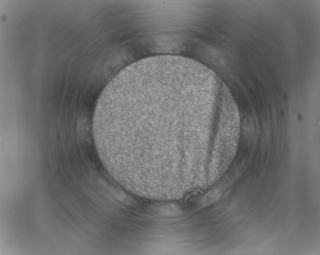 X0000062930322200602101928