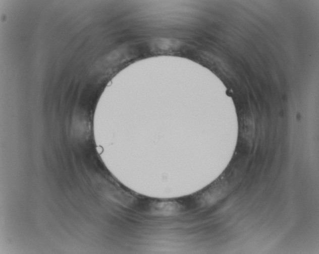 X0000062930324200602101928