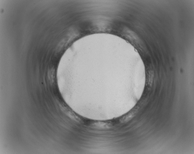 X0000062930326200602101928