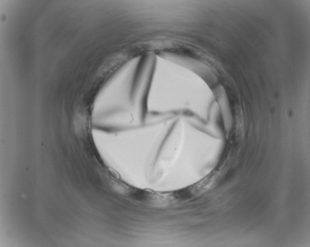 X0000062930333200602101928