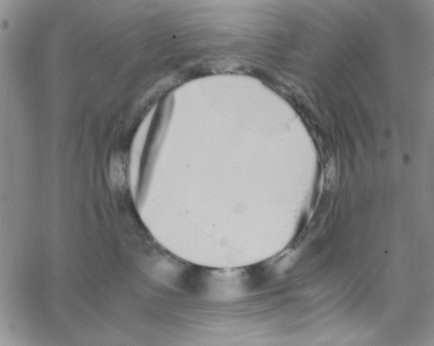X0000062930335200602101928
