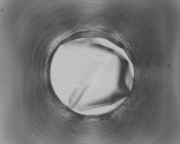 X0000062930340200602101927