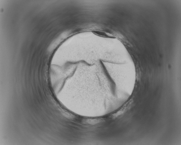 X0000062930341200602101927