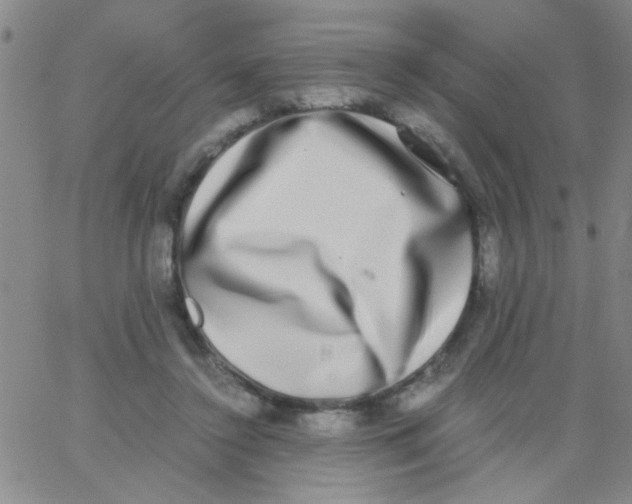 X0000062930356200602101928