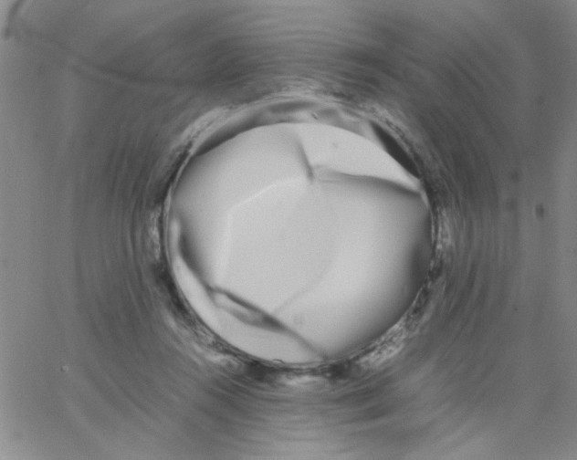 X0000062930360200602101928