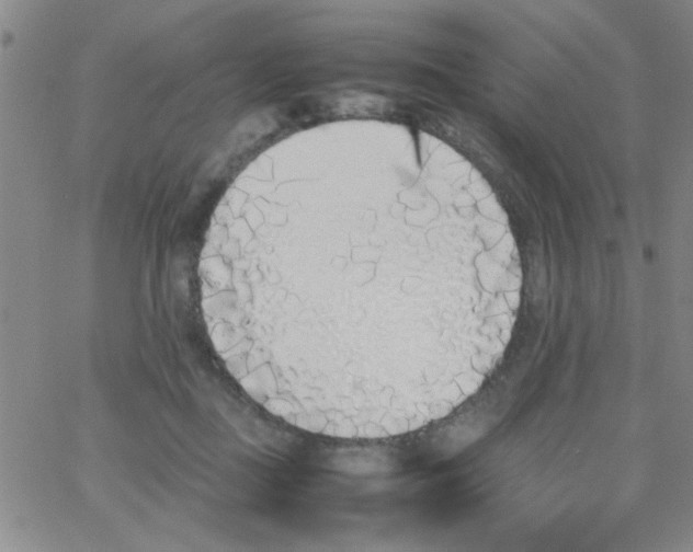 X0000062930363200602101928