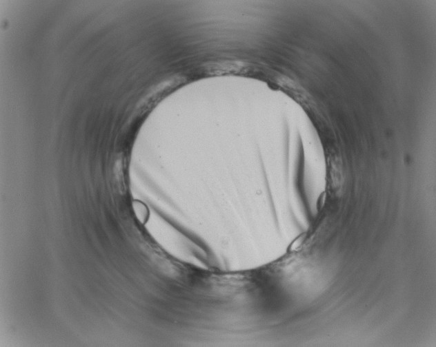 X0000062930378200602101928