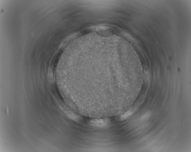 X0000062930381200602101928