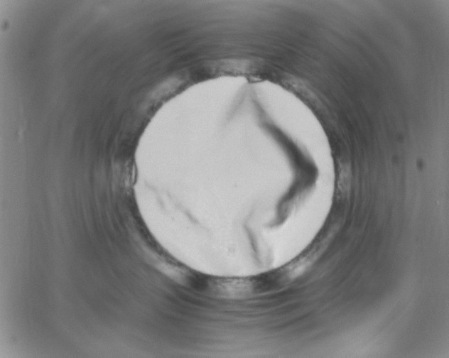 X0000062930383200602101928