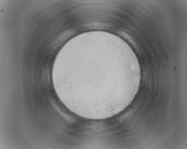 X0000062930398200602101927
