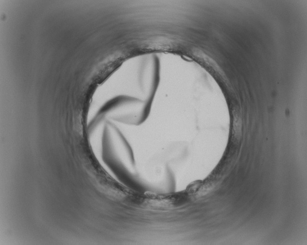 X0000062930403200602101927